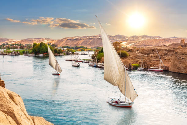 منتجع أسوان النيلي