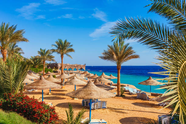 فندق شرم الشيخ الفاخر